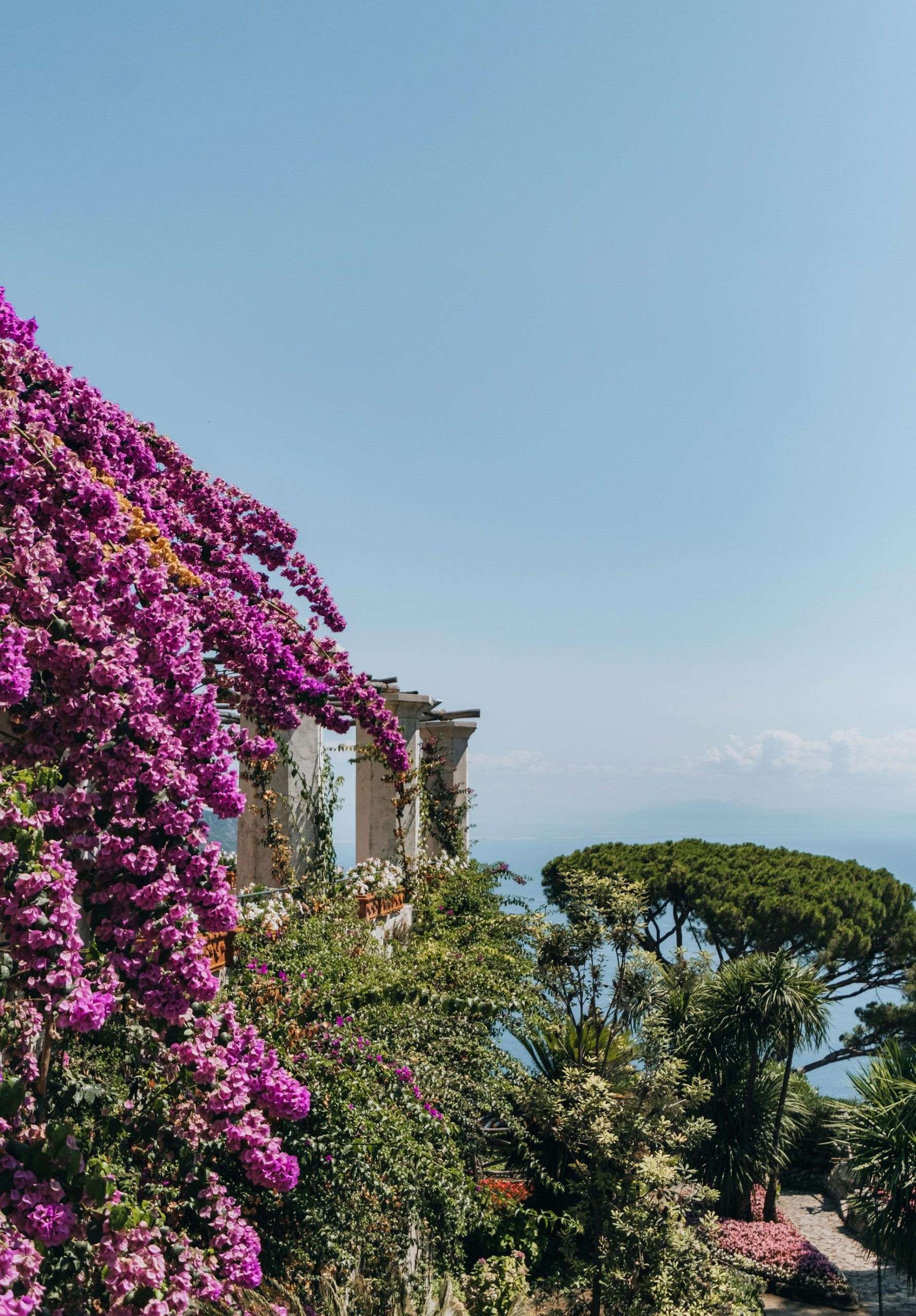 &lt;trp-post-container data-trp-post-id=&#039;1045&#039;&gt;Zona ajardinada&lt;/trp-post-container&gt;